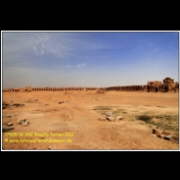 17605 06 042 Resafa Syrien 2011.jpg